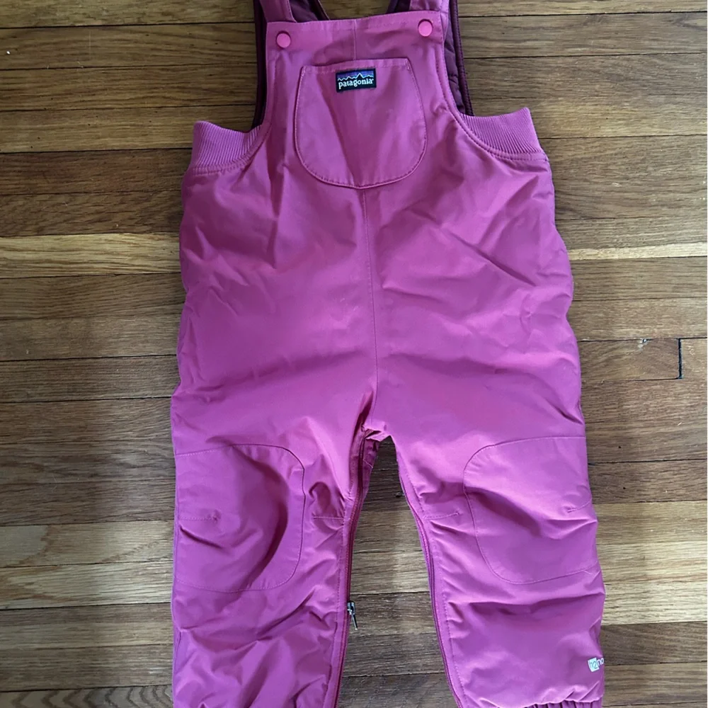 Patagonia Pink Kids Snow Bib Overalls